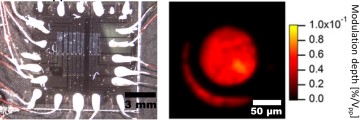 Graphene electro-optic modulator