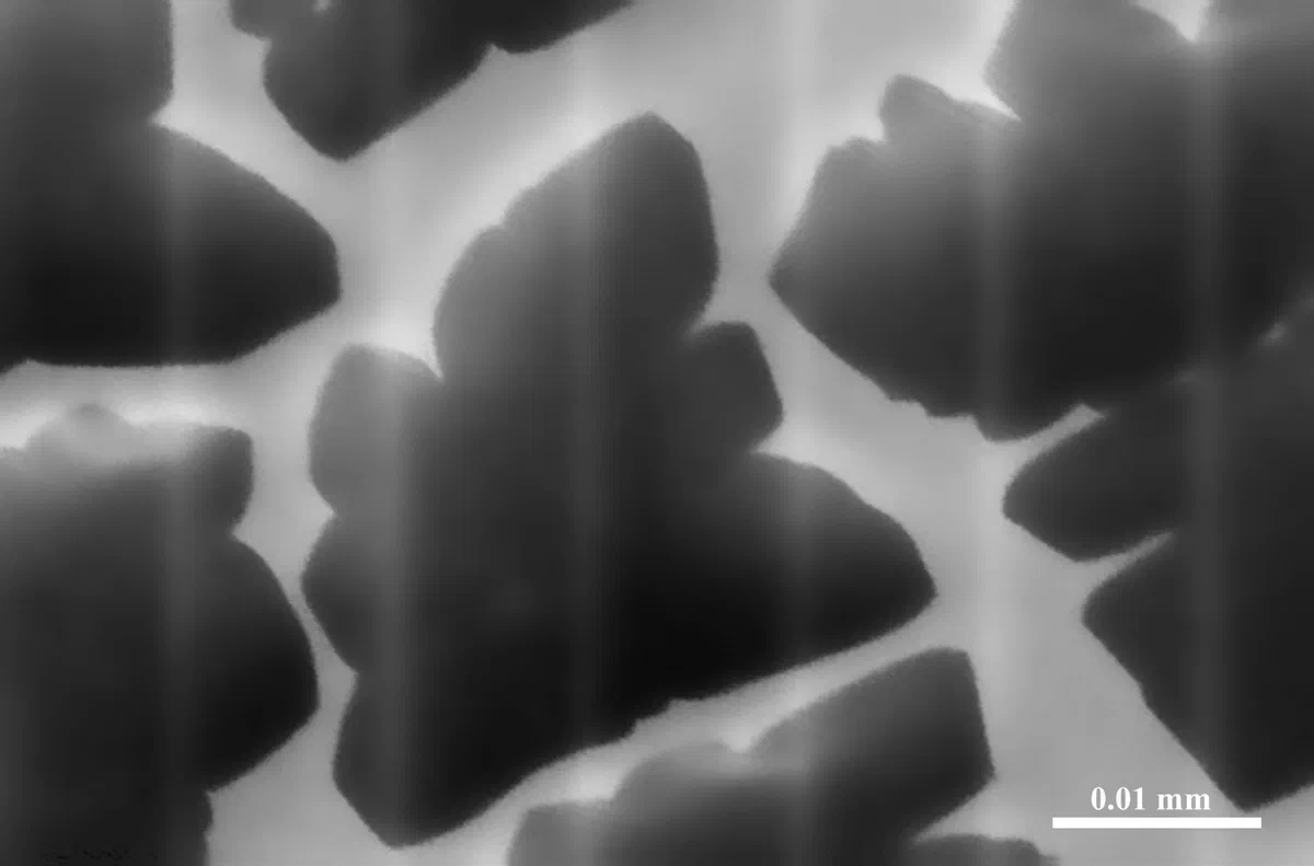 Graphene flake on copper