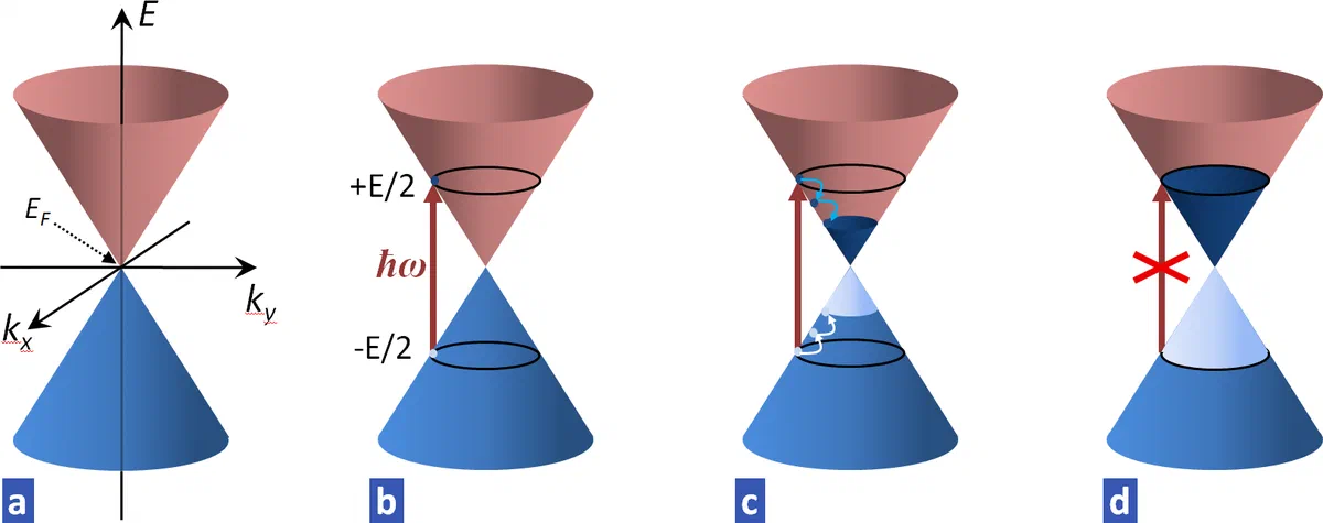 Saturable absorption in graphene